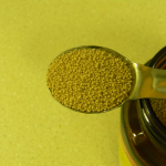 Baker’s Yeast