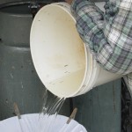 Filtering Sap