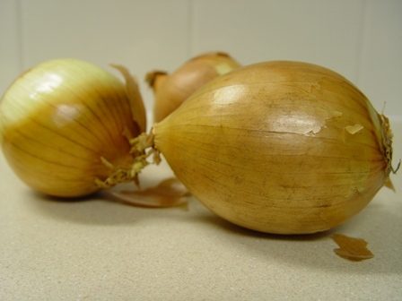 Storing Onions